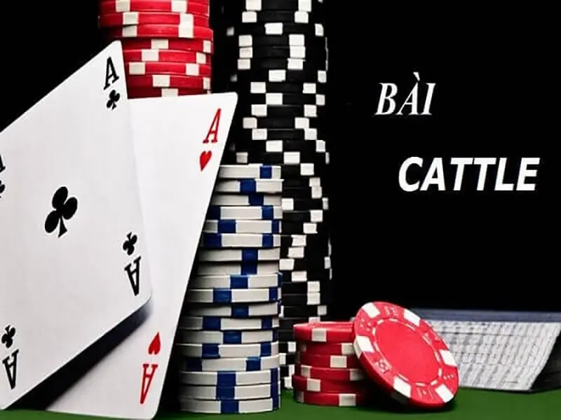 Bài cát tê được Loto188 xây dựng với công nghệ hiện đại cùng lối chơi chân thực